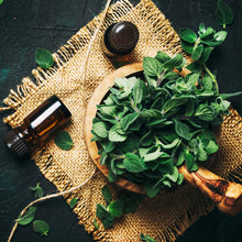 Încarcă imaginea în vizualizatorul Galerie, ulei esential si planta oregano